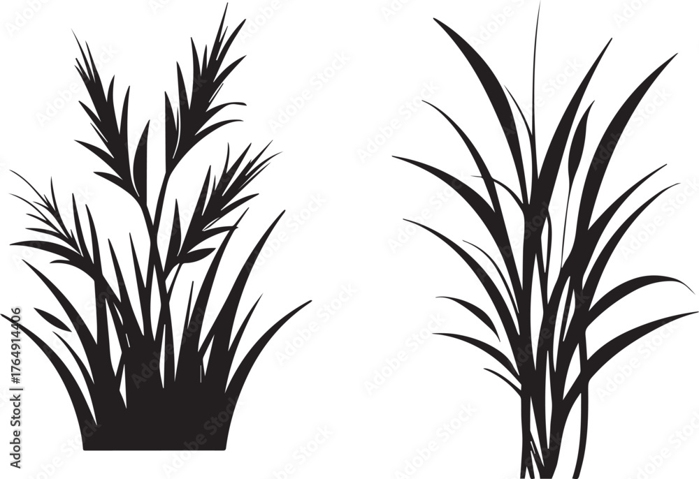 Obraz premium Black silhouette of tall wild grass and wheat plants on white background