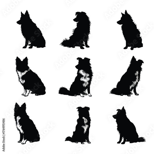 Collection of diverse border collie dog poses and actions black and white silhouette isolated on white background