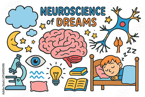Dreams and Neuroscience Doodle. neuroscience of dreams. Colorful Hand-drawn doodle Children illustration neuroscience of dreams brain, neuron, synapse,