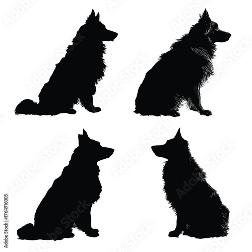 Collection of border collie dog silhouettes in various poses isolated on white background