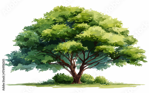 생명력 넘치는 초록 잎사귀가 풍성하게 우거진 웅장한 나무가 흰색 배경 위에 고요히 서서, 자연의 순수한 아름다움과 평화로운 기운을 예술적으로 담아낸 고품질 벡터 일러스트레이션입니다.