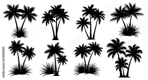 Palm trees silhouettes for tropical design