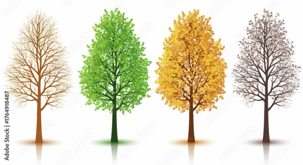 Fototapeta premium Four seasons trees, vector illustration design