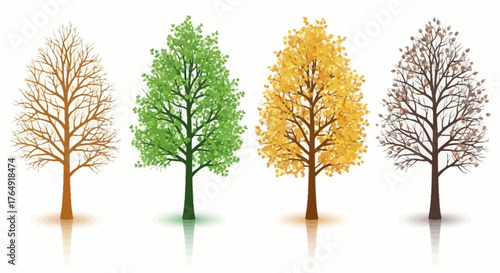 Four season trees, spring, summer, autumn, winter