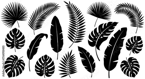 Set of black tropical leaves, vector illustration