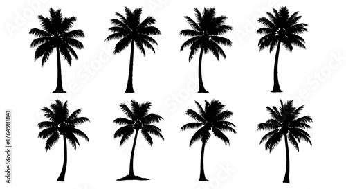 Silhouette of eight palm trees in vector format