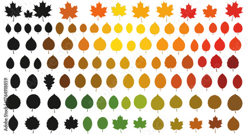 Collection of autumn leaves in various colors