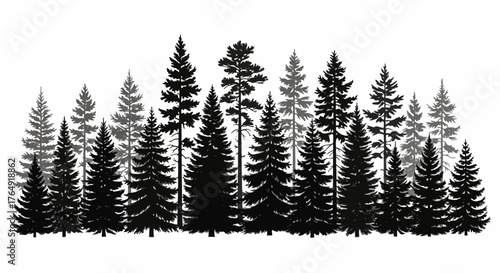 Silhouette of coniferous forest in vector format