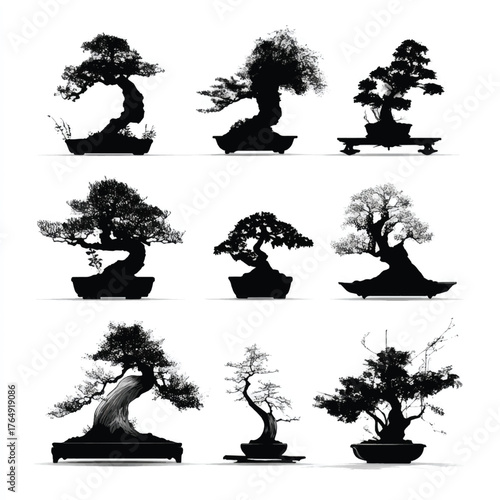 Collection of diverse bonsai tree silhouettes isolated on white background