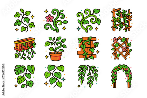 Decorative Vines Icons Set. Decorative vines. Colorful isometric vector icons set of decorative vines: ivy vine, flowering vine, curly vine, climbing vine,