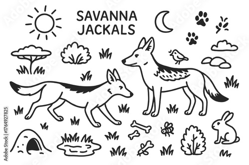 Savanna Jackal Doodle. Savanna Jackals. Hand-drawn doodle illustration Savanna Jackals jackal, grass, tree, rocks, sun, moon, footprints, den, bush, bird,