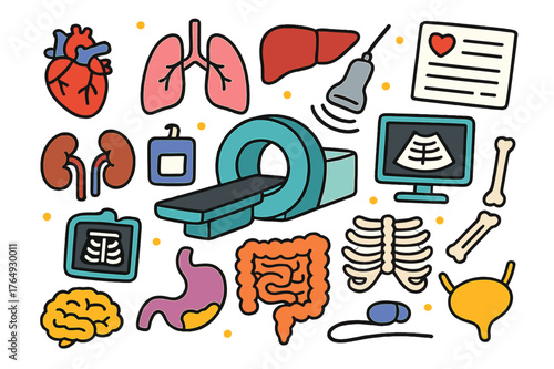 Colorful Organ Doodles. internal organs imaging. Colorful Hand-drawn doodle Children illustration internal organs imaging heart, lungs, liver, kidneys,
