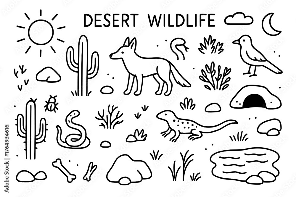 Fototapeta premium Desert Wildlife Doodles. Desert Wildlife. Hand-drawn doodle illustration Desert Wildlife jackal, snake, lizard, cactus, rocks, sun, moon, footprints, bush,