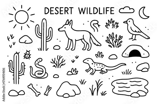 Desert Wildlife Doodles. Desert Wildlife. Hand-drawn doodle illustration Desert Wildlife jackal, snake, lizard, cactus, rocks, sun, moon, footprints, bush,