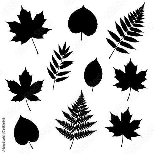 A simple black silhouette of a leaf with visible veins, isolated on a white background.