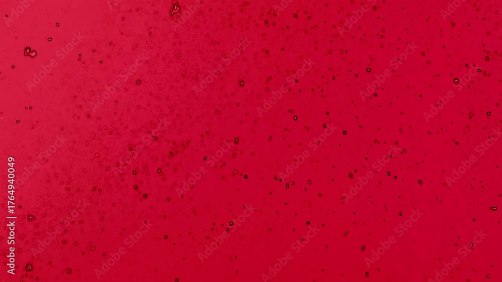 Aufsteigende Partikel Zellen Bluteilchen – dynamischer roter Hintergrund, chemischen Reaktion, Chemie, Laborwissenschaft, moderne Wissenschaftsvisualisierung, Forschung, Technologie, Biologie