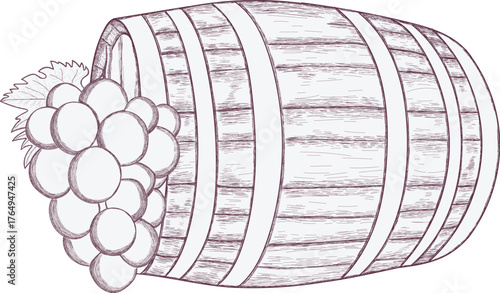 Wine Barrel and Grapes sketch collection