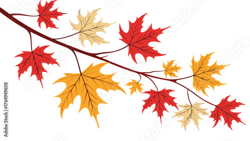 Autumn Maple Leaves Branch Red Orange Yellow Foliage