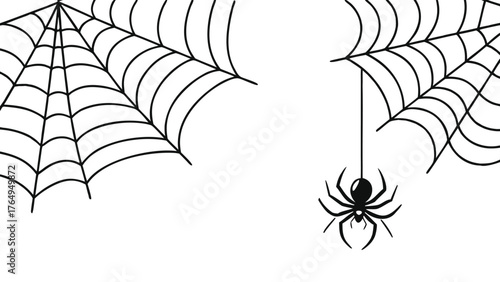 Spider Web Illustration Hanging Spider Halloween Nature Design