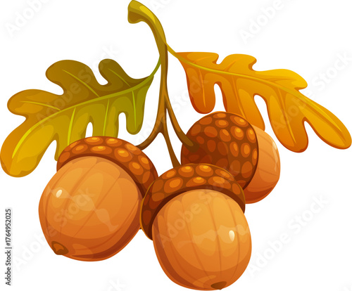Cartoon oak acorns with textured brown caps and polished nut shells, autumn season branch and leaves. Forest food for squirrel with cap, tail and orange brown foliage. Seasonal fall acorns