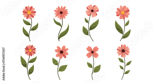 A collection of charming coral flowers with green stems and leaves.