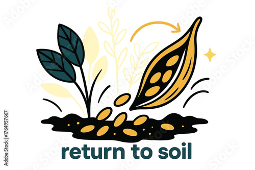 Seeds Return Home. Seeds ? Harvest Memory. Open pod spills mature seeds onto the earth; ghosted outlines hint at past growth above. Text ?return to soil?.