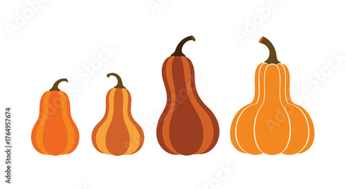 Four unique gourds displayed in a row on a white background.