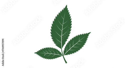 A simple three-leaf green plant illustration on a white background.