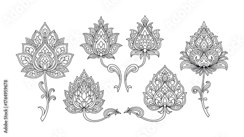 Floral Elegance: Delicate floral illustrations showcase exquisite intricate detail, adding a touch of sophisticated beauty.