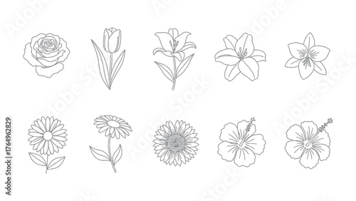 Elegant Floral Collection: A monochrome arrangement of intricate flowers showcasing various petals, detailed stems, and delicate buds. Perfectly rendered for artistic projects.
