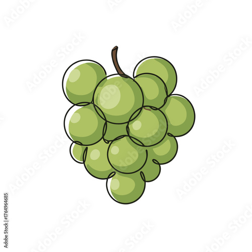 green grapes bunch