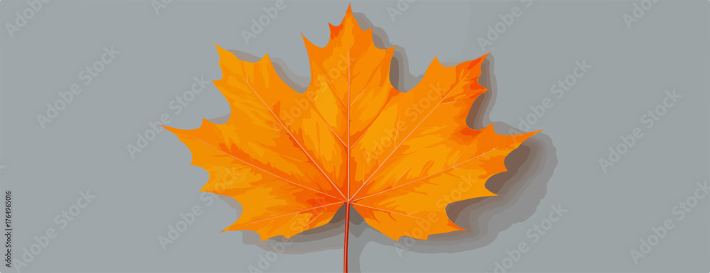 Uma folha de bordo laranja vibrante, capturando a essência do outono, elegantemente isolada num fundo cinza suave.