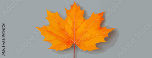 Uma folha de bordo laranja vibrante, capturando a essência do outono, elegantemente isolada num fundo cinza suave.