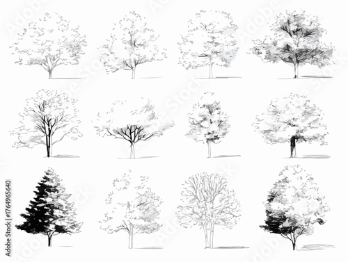 Desenhos em preto e branco de árvores de diferentes tipos e estilos, perfeitos para ilustrações e projetos criativos.