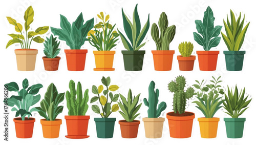 Collection of various potted houseplants in different colorful pots