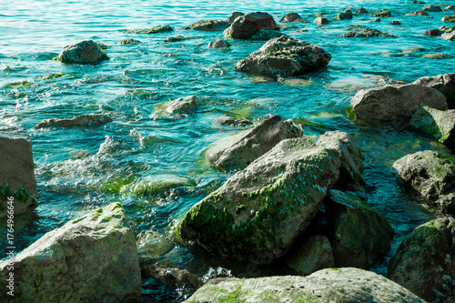 Close-up view of coastal stones covered with seaweed as sea waves create splashes around them.