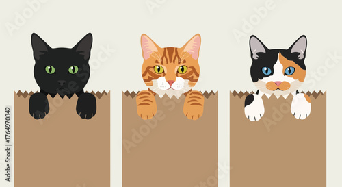 Illustration of three curious cats peeking over brown paper bags, cute cartoon illustration