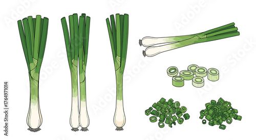 Fresh Green Onions - Whole and Sliced for Culinary Use.