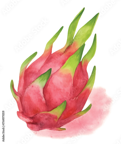 dragon_fruit_whole_watercolor