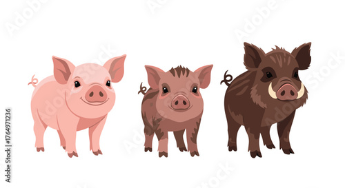 Three Pigs - Piglet, Pig, and Wild Boar Illustration.