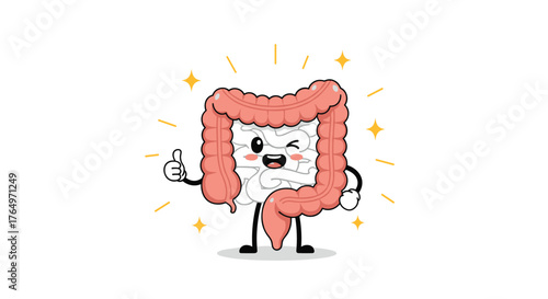 Happy Colon Cartoon Character Giving Thumbs Up Illustration.