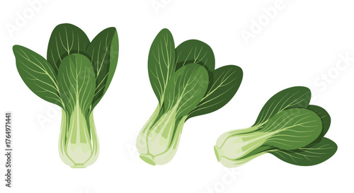 Fresh Bok Choy Vegetables - Healthy and Nutritious Greens.