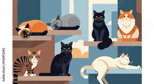 Illustration of playful illustration of cats lounging and sitting on colorful window sills