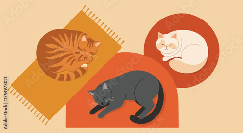 Illustration of three relaxing cats sleeping on colorful rugs and cushions in cozy home setting