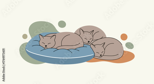 Illustration of two sleeping cats cuddling together on blue cushion, flat illustration style