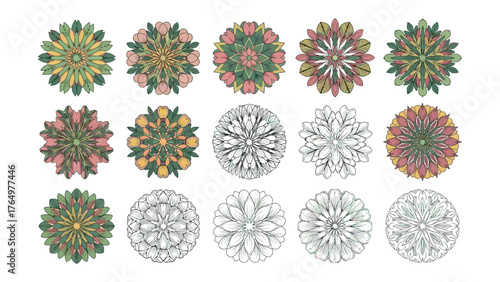 Geometric Mandalas: A captivating display of fifteen meticulously crafted mandalas, each radiating unique geometric symmetry and intricate patterns.