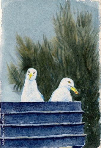 Watercolor painting of two seagulls resting on a blue fence against green trees and a soft sky expressing calm solitude and emotional distance in a tranquil seaside setting