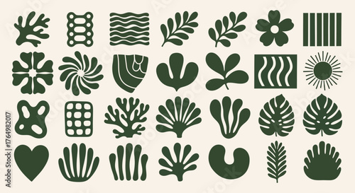 Abstract collection of minimalist organic shapes and botanical nature elements for contemporary graphic design projects