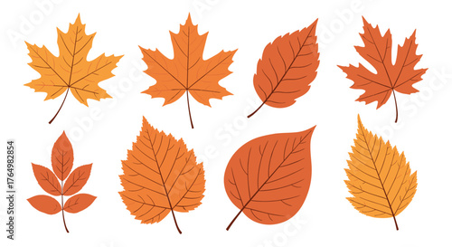 Autumn Leaves Collection - Vector Illustration of Fall Foliage.