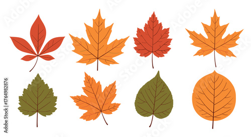 Autumn Leaves Collection - Vibrant Fall Foliage Vector Illustration.